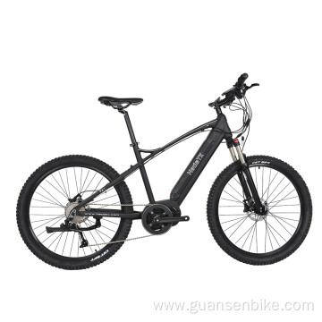 Comfortable fat tire electric mountain bike